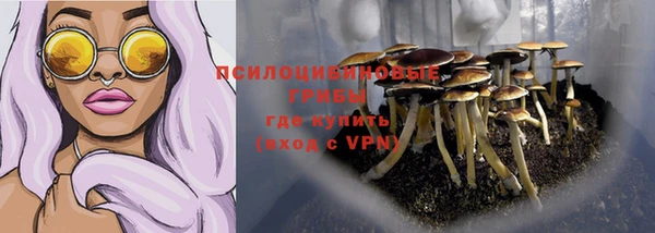 молекула духа Волосово