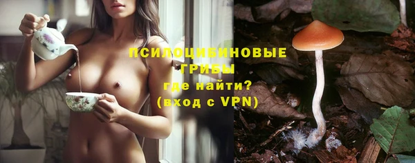 молекула духа Волосово
