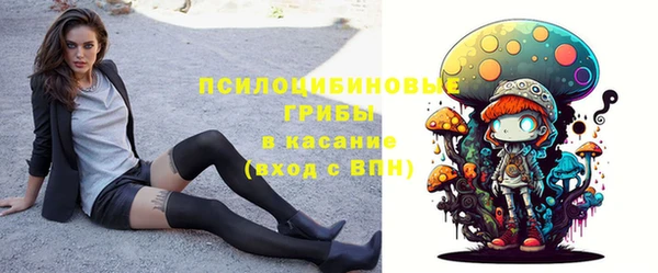 молекула духа Волосово