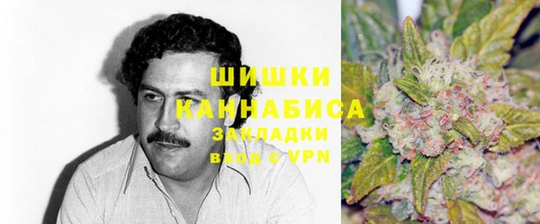 молекула духа Волосово