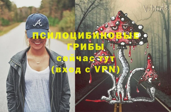 эйфоретик Горнозаводск