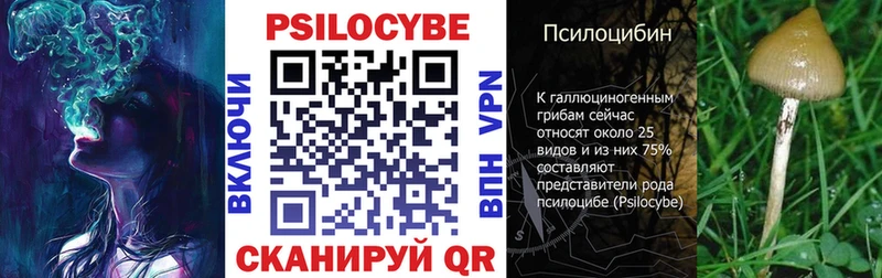 наркотики  даркнет состав  Галлюциногенные грибы Magic Shrooms  Демидов 